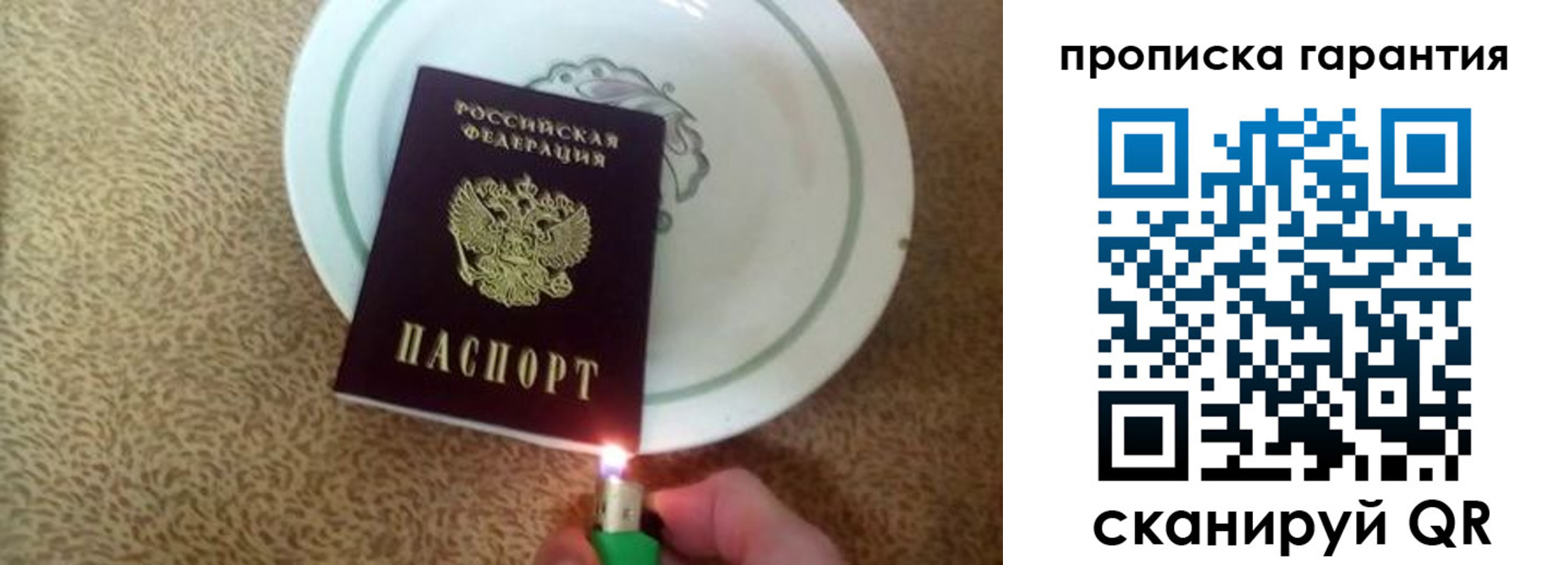 прописка гарантия в Шилке